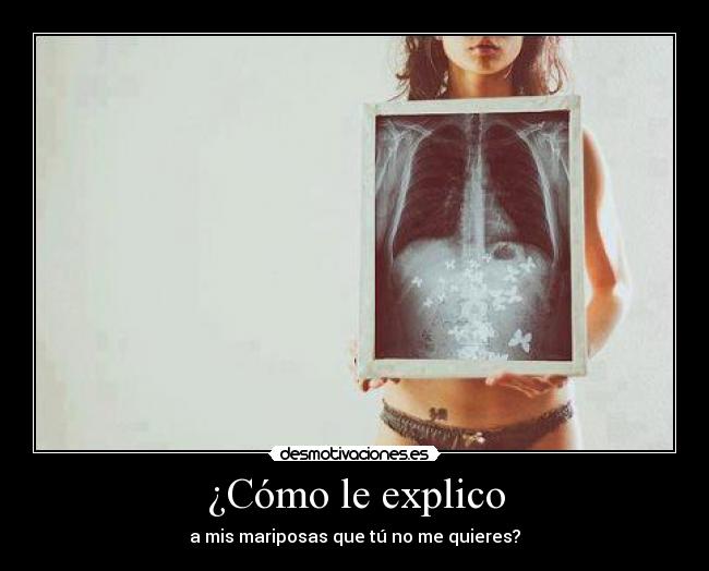 carteles marioposas quieres explicar desmotivaciones