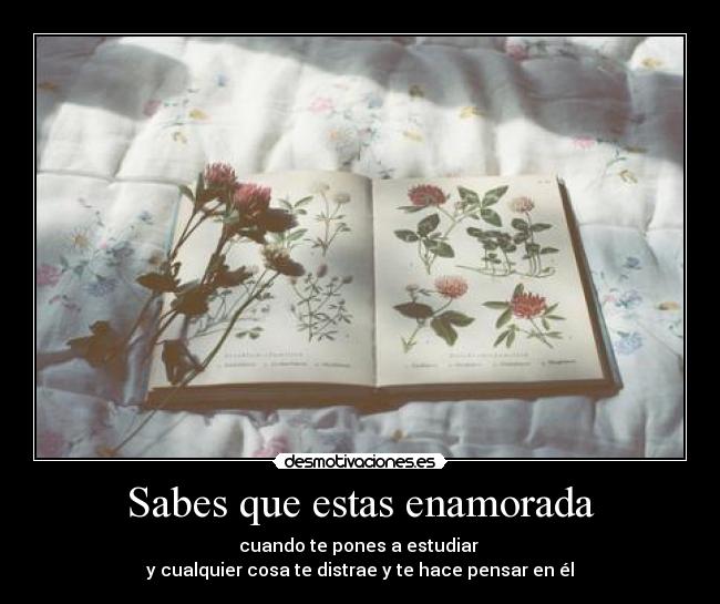 Sabes que estas enamorada - cuando te pones a estudiar
y cualquier cosa te distrae y te hace pensar en él
