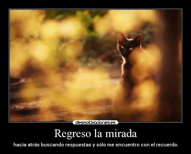 Regreso la mirada - hacía atrás buscando respuestas y sólo me encuentro con el recuerdo.