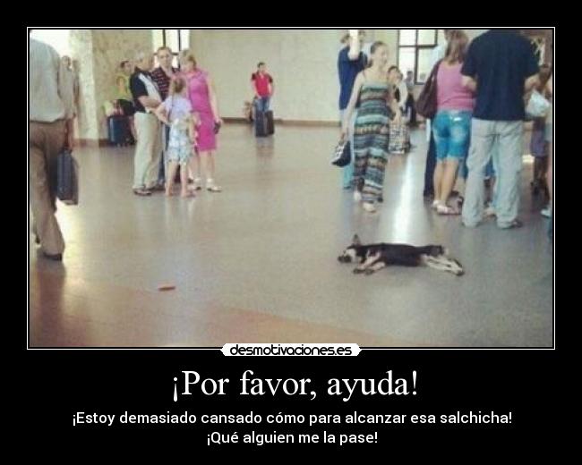 ¡Por favor, ayuda! - 