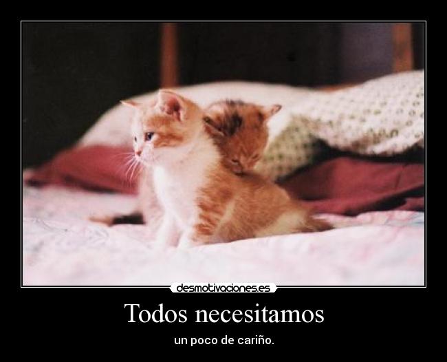 Todos necesitamos - un poco de cariño.