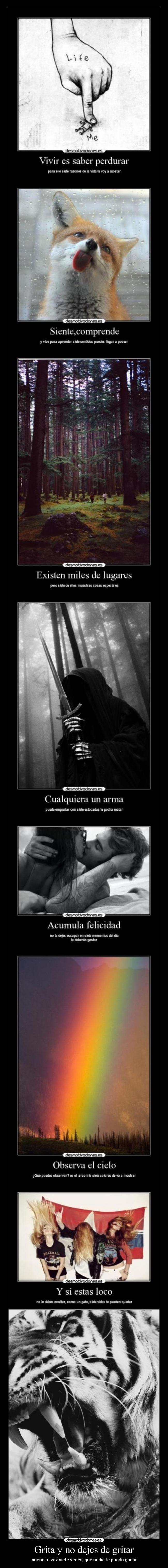 Grita y no dejes de gritar - 