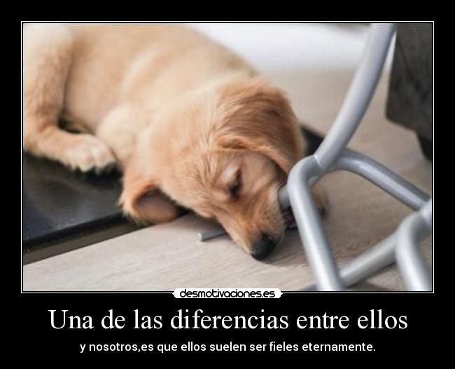 Una de las diferencias entre ellos - 
