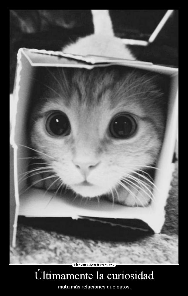 Últimamente la curiosidad - mata más relaciones que gatos.