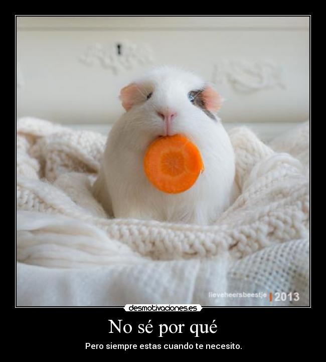 No sé por qué - Pero siempre estas cuando te necesito.