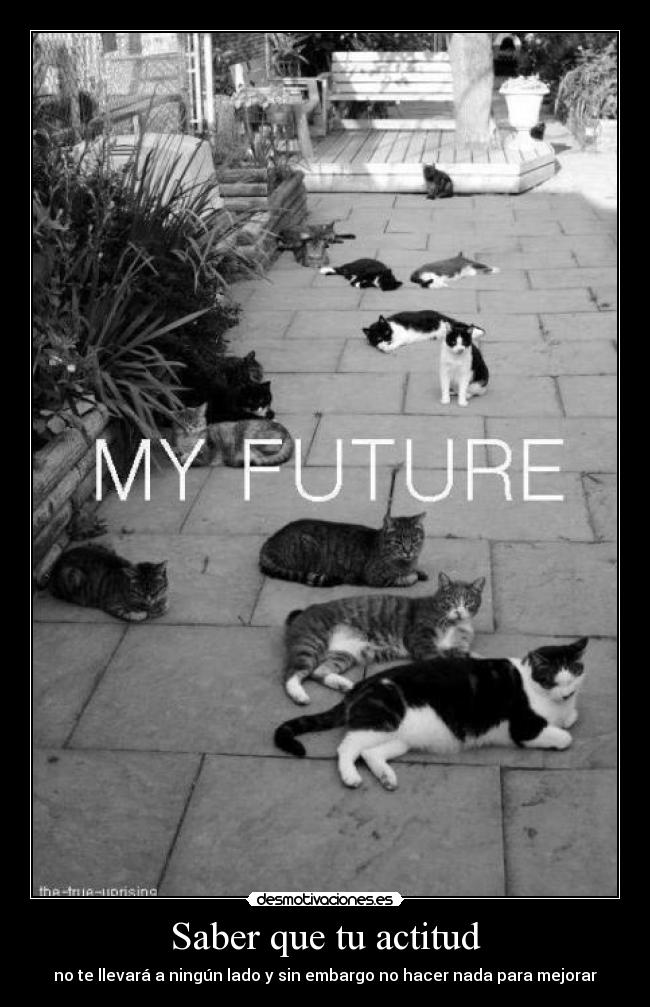 Saber que tu actitud -