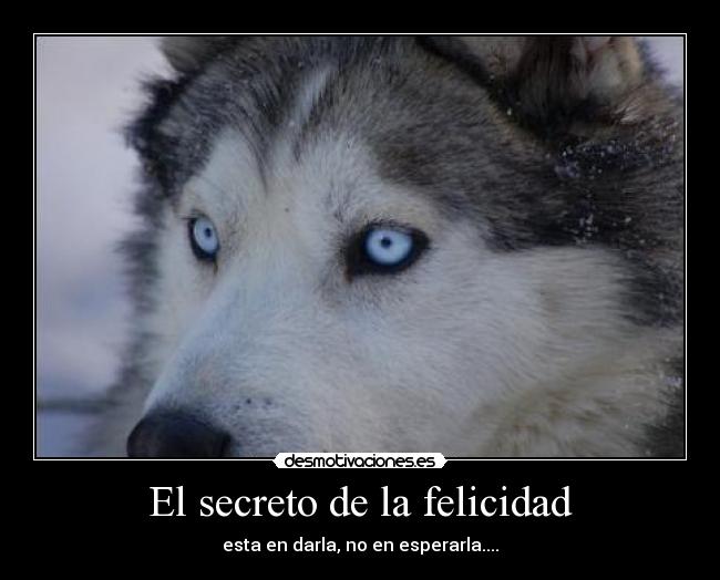 El secreto de la felicidad - 