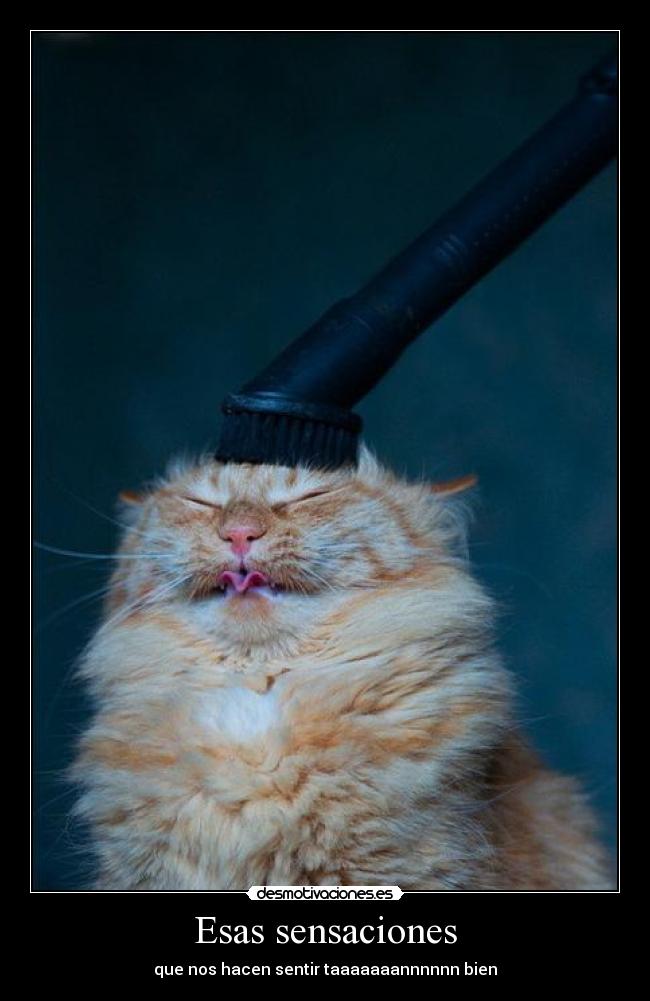 Esas sensaciones -