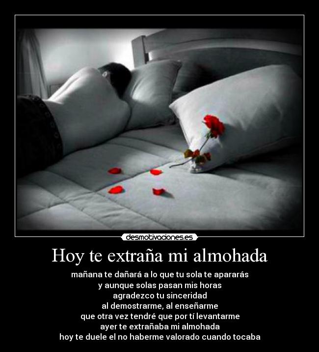 Hoy te extraña mi almohada - mañana te dañará a lo que tu sola te apararás
y aunque solas pasan mis horas
agradezco tu sinceridad
al demostrarme, al enseñarme
que otra vez tendré que por tí levantarme
ayer te extrañaba mi almohada
hoy te duele el no haberme valorado cuando tocaba