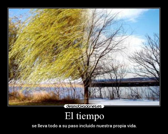 carteles misenplase desmotivaciones