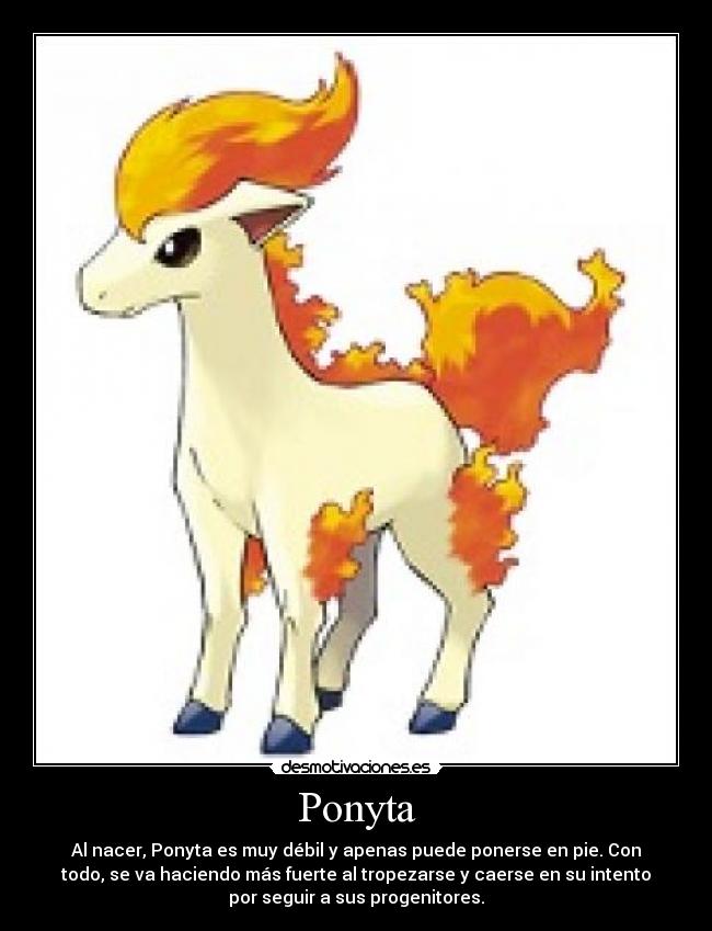 Ponyta -