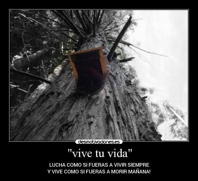 vive tu vida - LUCHA COMO SI FUERAS A VIVIR SIEMPRE
Y VIVE COMO SI FUERAS A MORIR MAÑANA!
