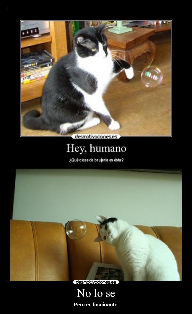 No lo se - Pero es fascinante.