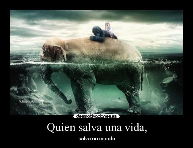 carteles vida sernll desmotivaciones