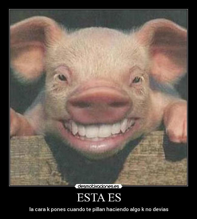 ESTA ES - la cara k pones cuando te pillan haciendo algo k no devias