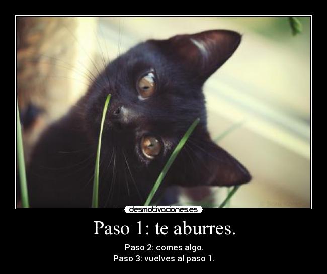 Paso 1: te aburres. -