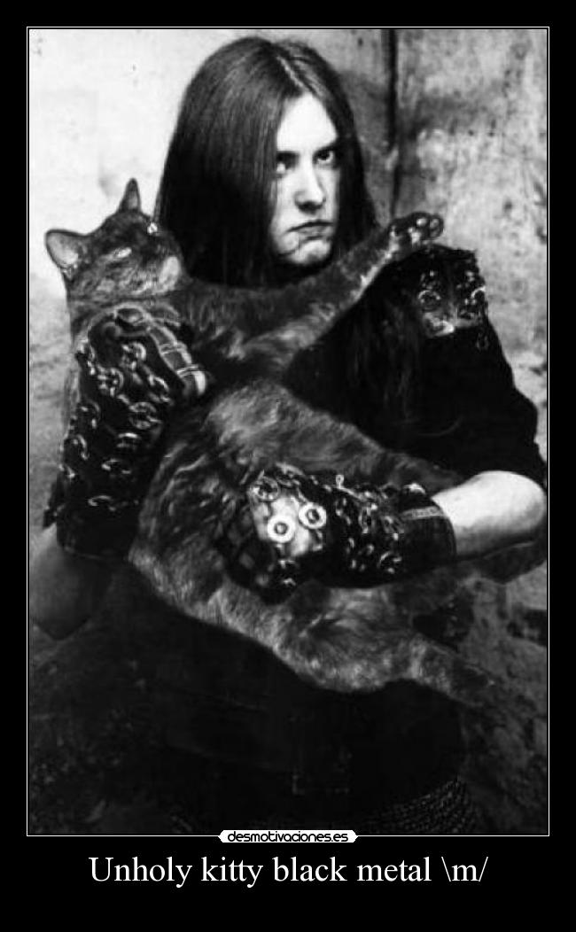 Unholy kitty black metal \m/ -