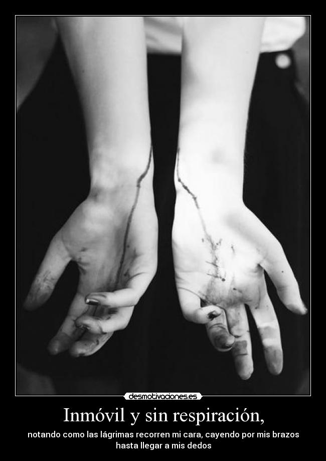 Inmóvil y sin respiración, - notando como las lágrimas recorren mi cara, cayendo por mis brazos
hasta llegar a mis dedos