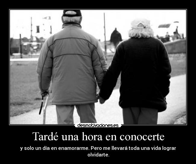 Tardé una hora en conocerte - 