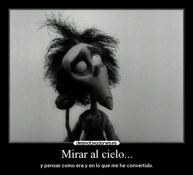 Mirar al cielo... - 