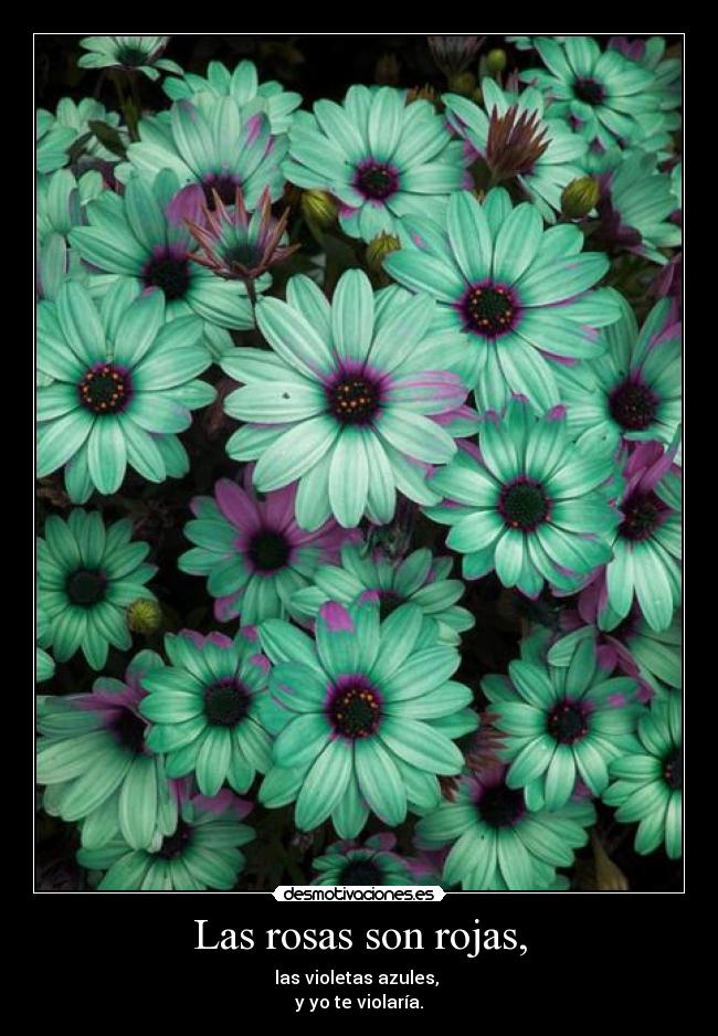 Las rosas son rojas, - 