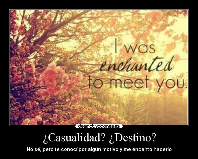¿Casualidad? ¿Destino? - 