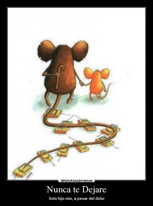 Nunca te Dejare -
