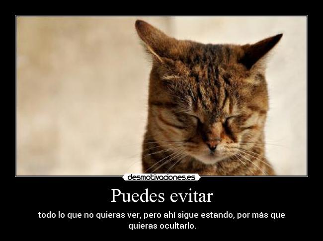 carteles sabes 4812 desmotivaciones