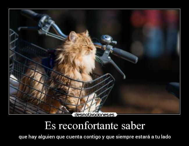 Es reconfortante saber - que hay alguien que cuenta contigo y que siempre estará a tu lado