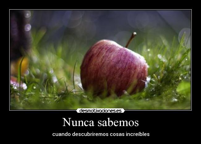 Nunca sabemos - cuando descubriremos cosas increíbles