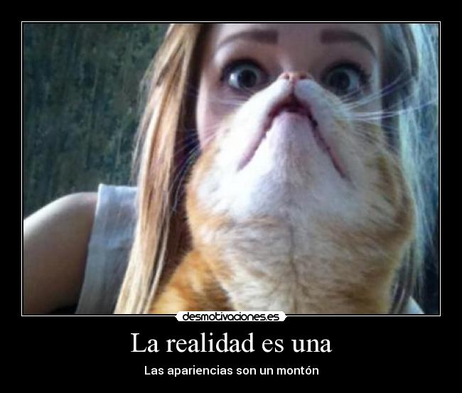 La realidad es una -