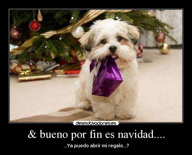 & bueno por fin es navidad.... - ...Ya puedo abrir mi regalo...?