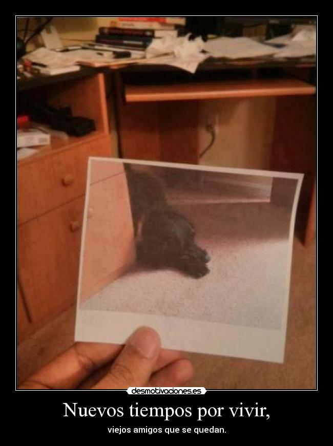 carteles los amigos olvidan desmotivaciones