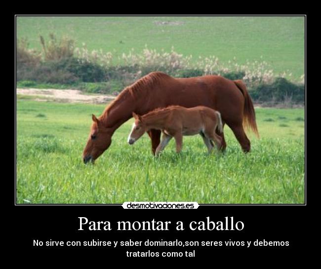 Para montar a caballo - No sirve con subirse y saber dominarlo,son seres vivos y debemos tratarlos como tal
