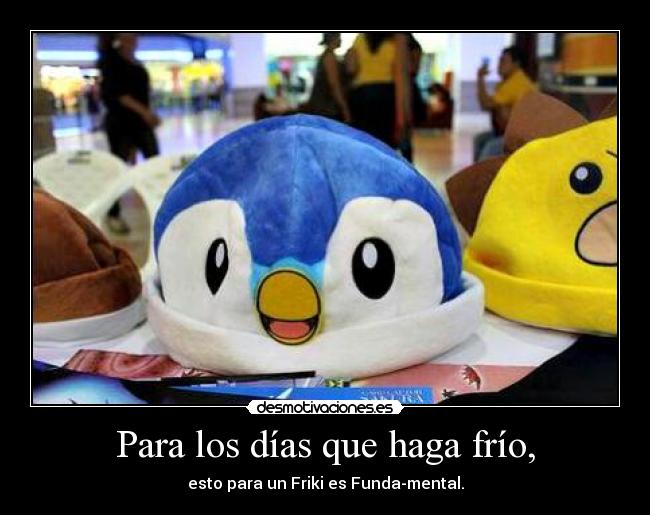Para los días que haga frío, - esto para un Friki es Funda-mental.