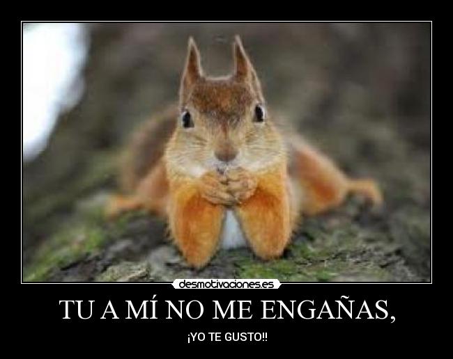 TU A MÍ NO ME ENGAÑAS, - ¡YO TE GUSTO!!