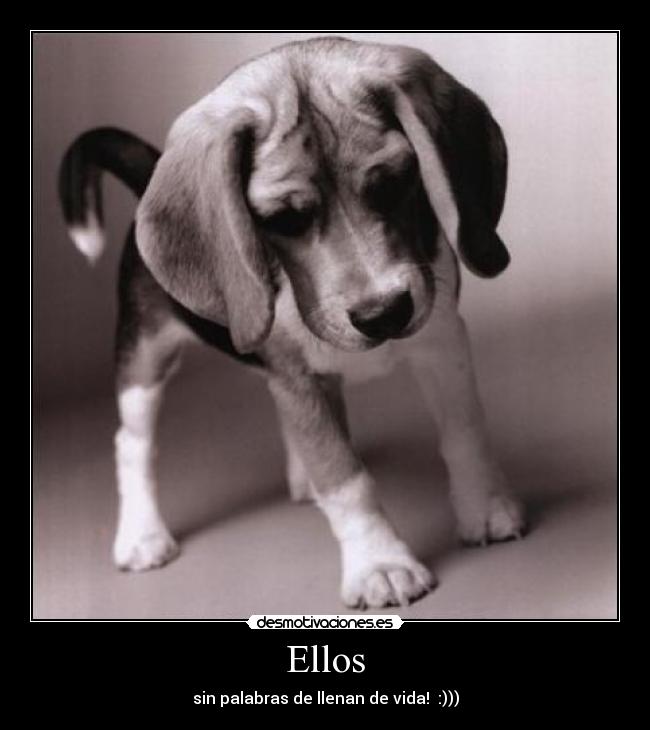Ellos - sin palabras de llenan de vida! :)))