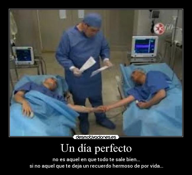 Un día perfecto -