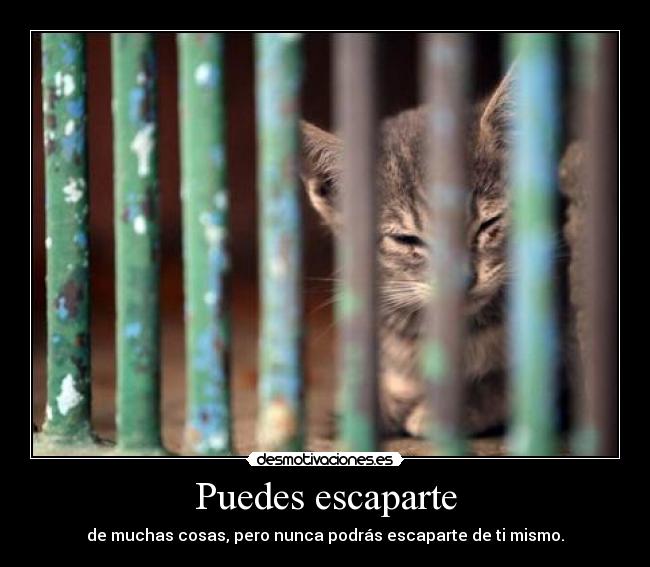 Puedes escaparte -