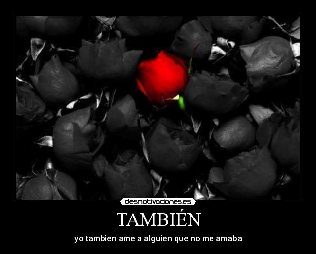 carteles amor ame quiso rosa negra roja desmotivaciones