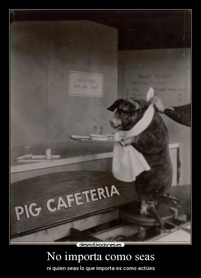 carteles algo asi tengo mucha imaginacion ultimamente caray desmotivaciones