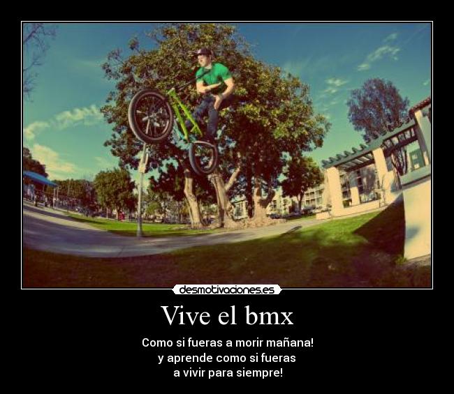 Vive el bmx - Como si fueras a morir mañana!
y aprende como si fueras
a vivir para siempre!