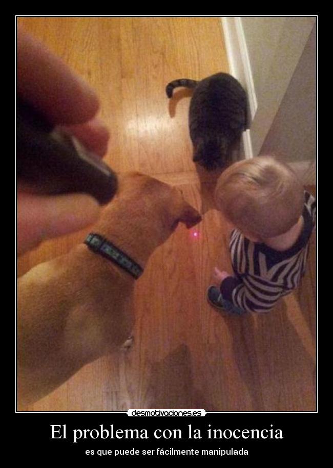 carteles esta hecho una manera inocente desmotivaciones