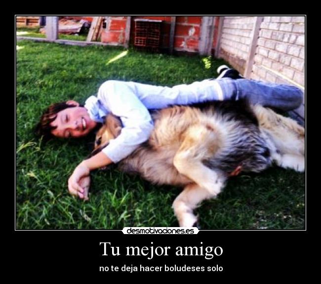 carteles vcdav desmotivaciones