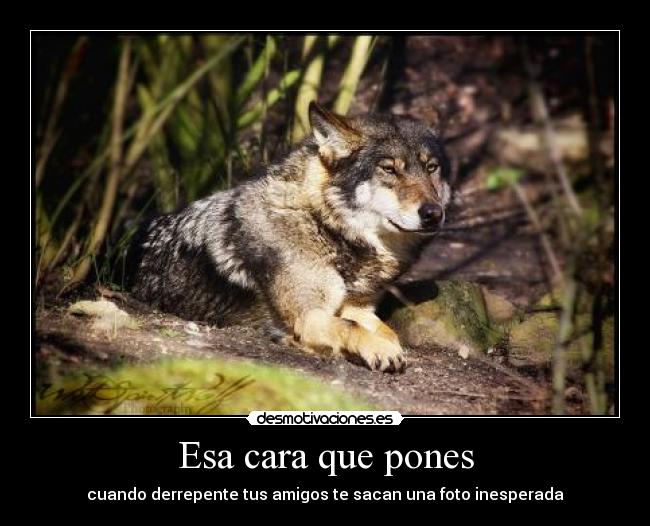 Esa cara que pones -