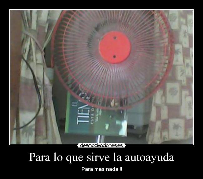 carteles sinceridades desmotivaciones