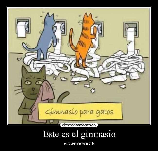 Este es el gimnasio -