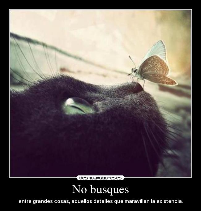 No busques - entre grandes cosas, aquellos detalles que maravillan la existencia.