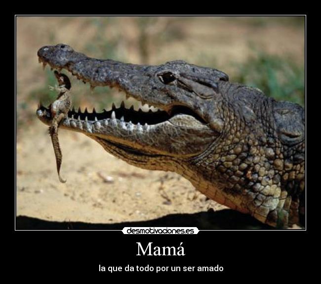 Mamá - la que da todo por un ser amado