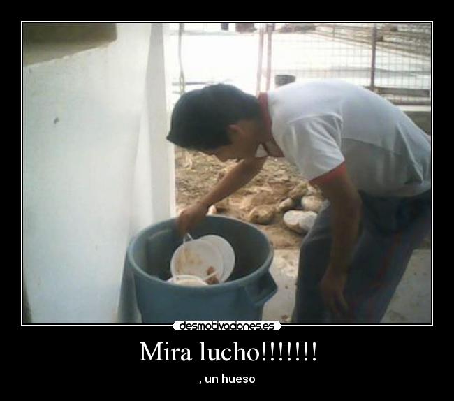 Mira lucho!!!!!!! -